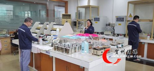 賀州市經濟社會發展成就綜述 奮力走在前列 譜寫精彩篇章