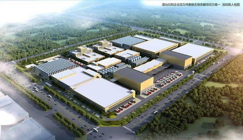 總投資64億元，自貿區煙臺片區6大智能制造重點項目集中開工