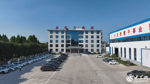 助力新型工業(yè)化強市建設 泰安鏈上企業(yè)負責人共話產(chǎn)業(yè)發(fā)展成效